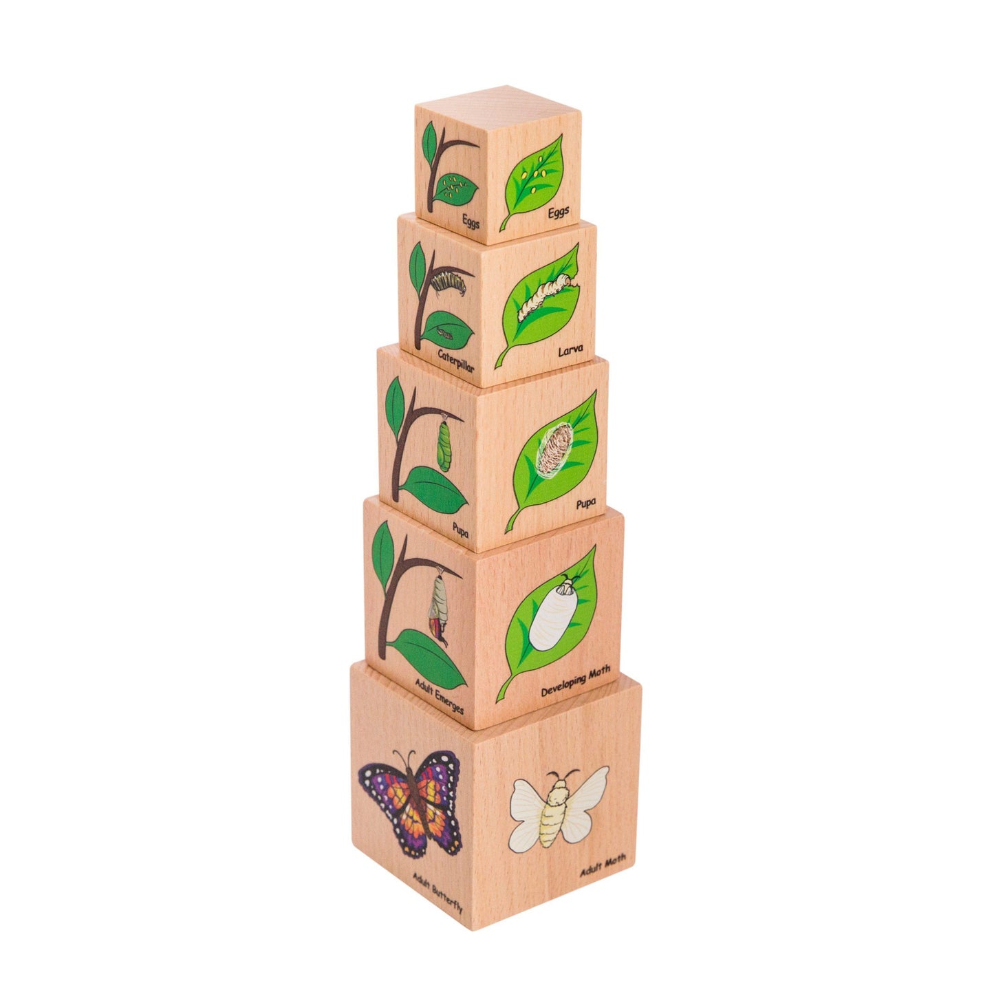 Wooden Lifecycle Blocks