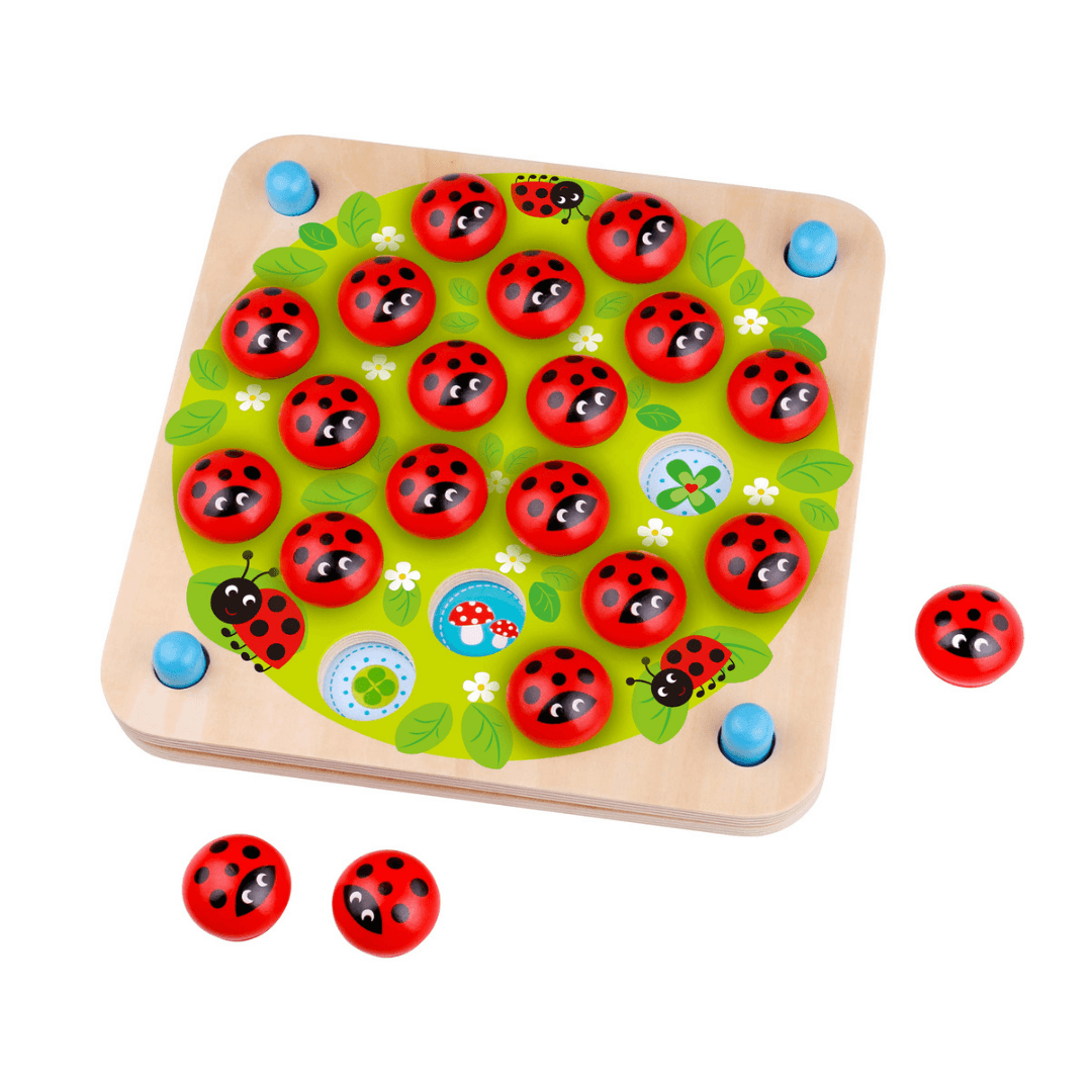 Ladybird Memory Game - Small