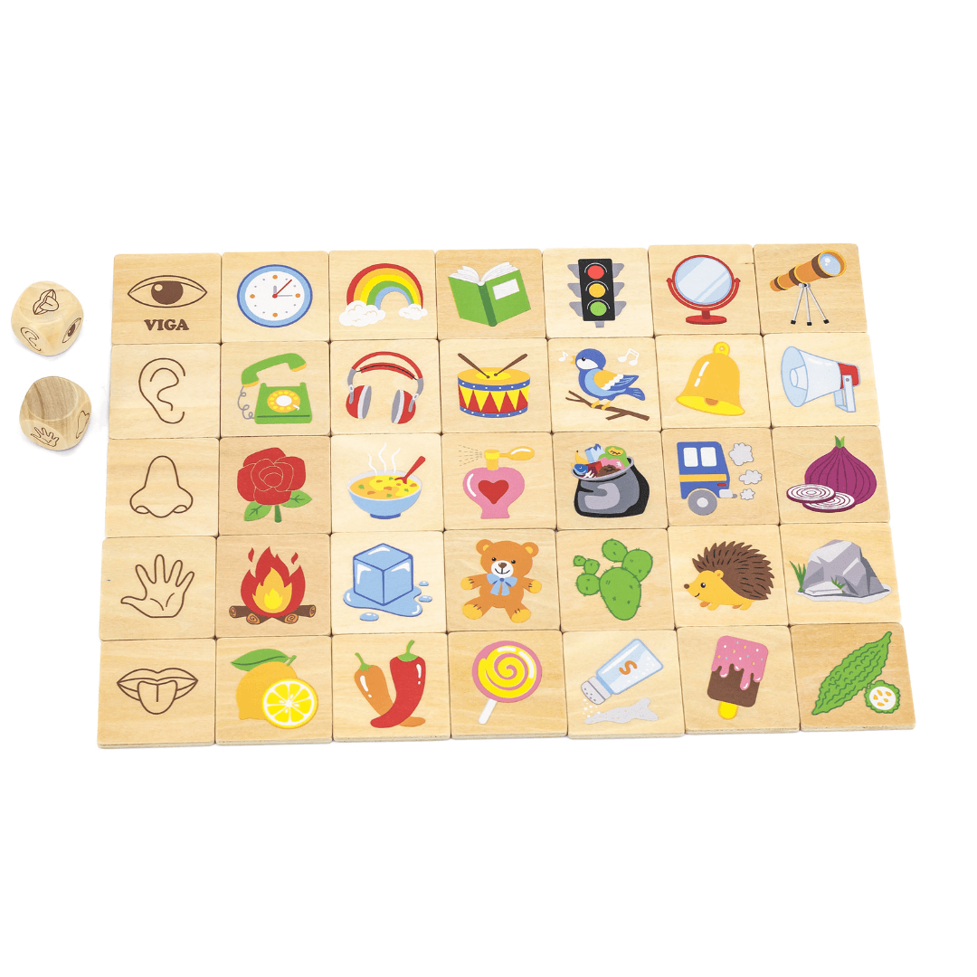 Learning Senses Puzzle Set