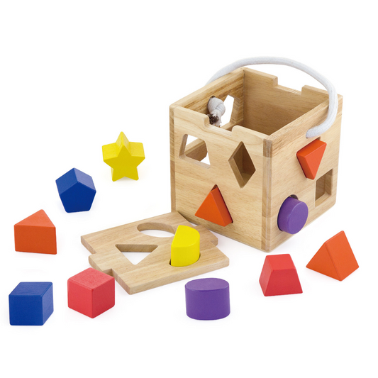 Shape Sorter with 12 Blocks